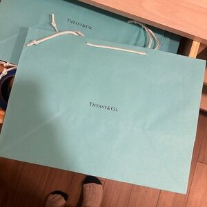 NWOT Tiffany & Co Tiffany Blue Large Shopping Bag